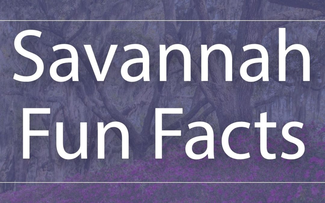 SAVANNAH FUN FACTS