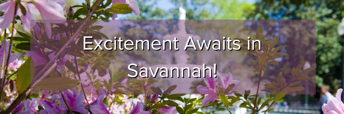 Excitement Awaits in Savannah! Excitement Awaits in Savannah!