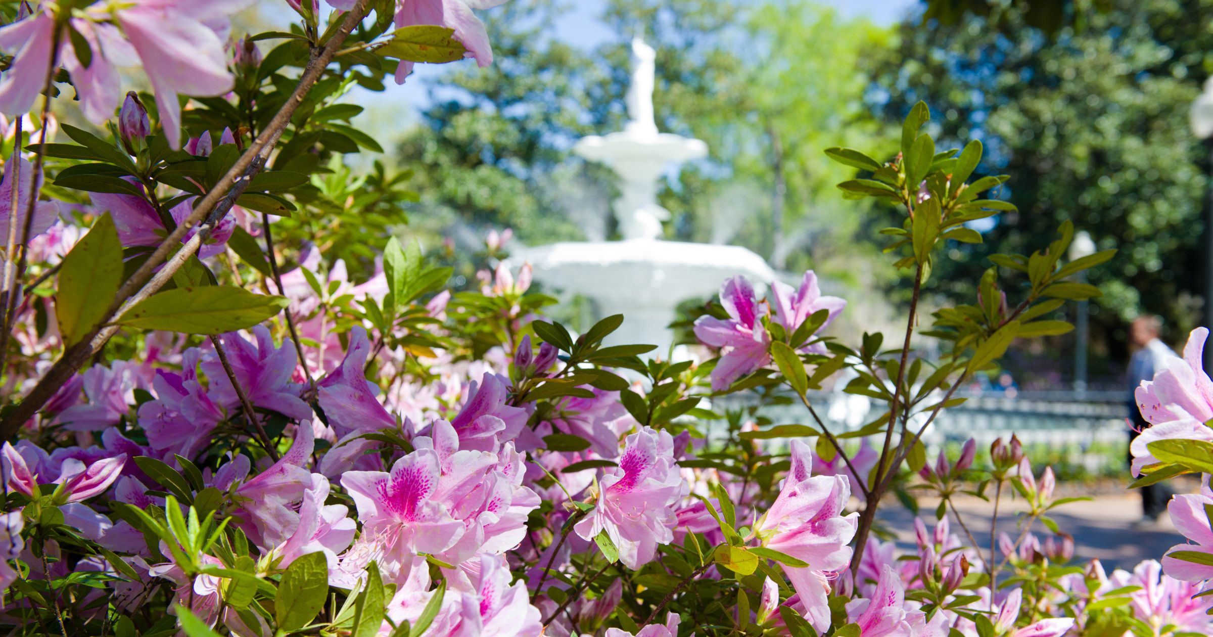 Forsyth Park Fountain_Photo courtesy of 2013 Dylan Wilson Forsyth Park Fountain