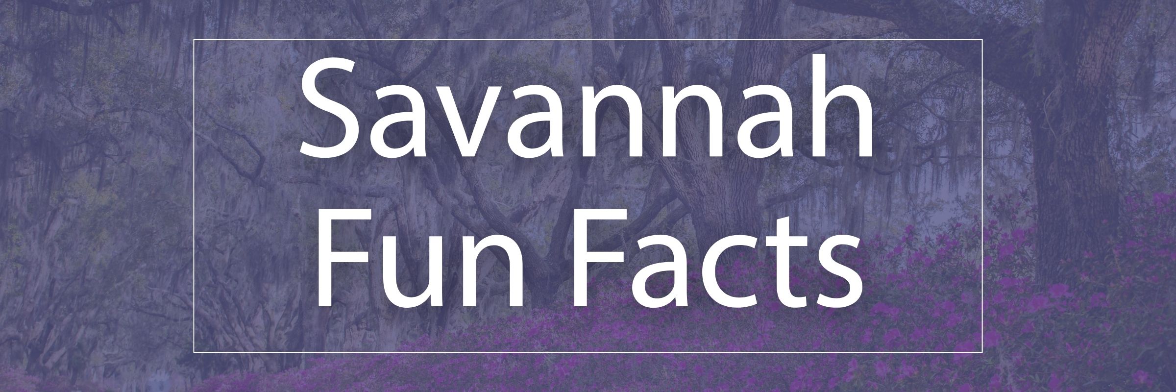 Savannah Fun Fact Web Header Savannah Fun Facts
