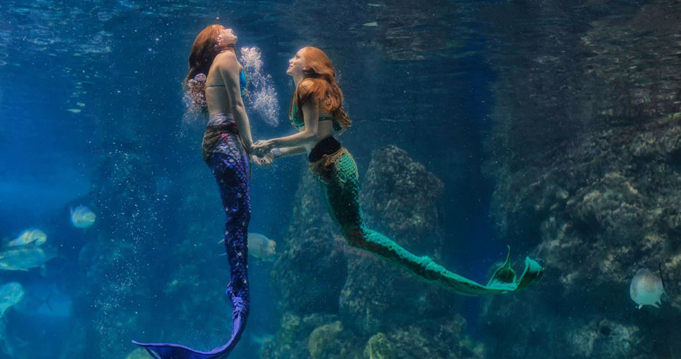 Mermaid - Legendary Creature from the Ocean