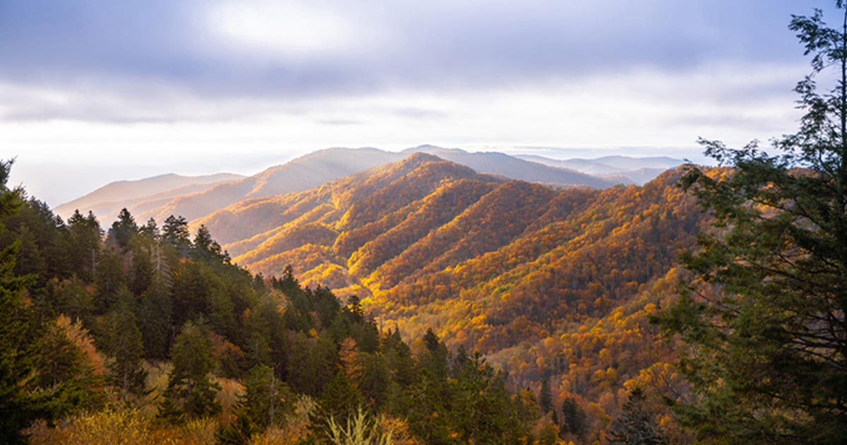 Top 5 Reasons to Visit Pigeon and the Smoky Mountains SYTA