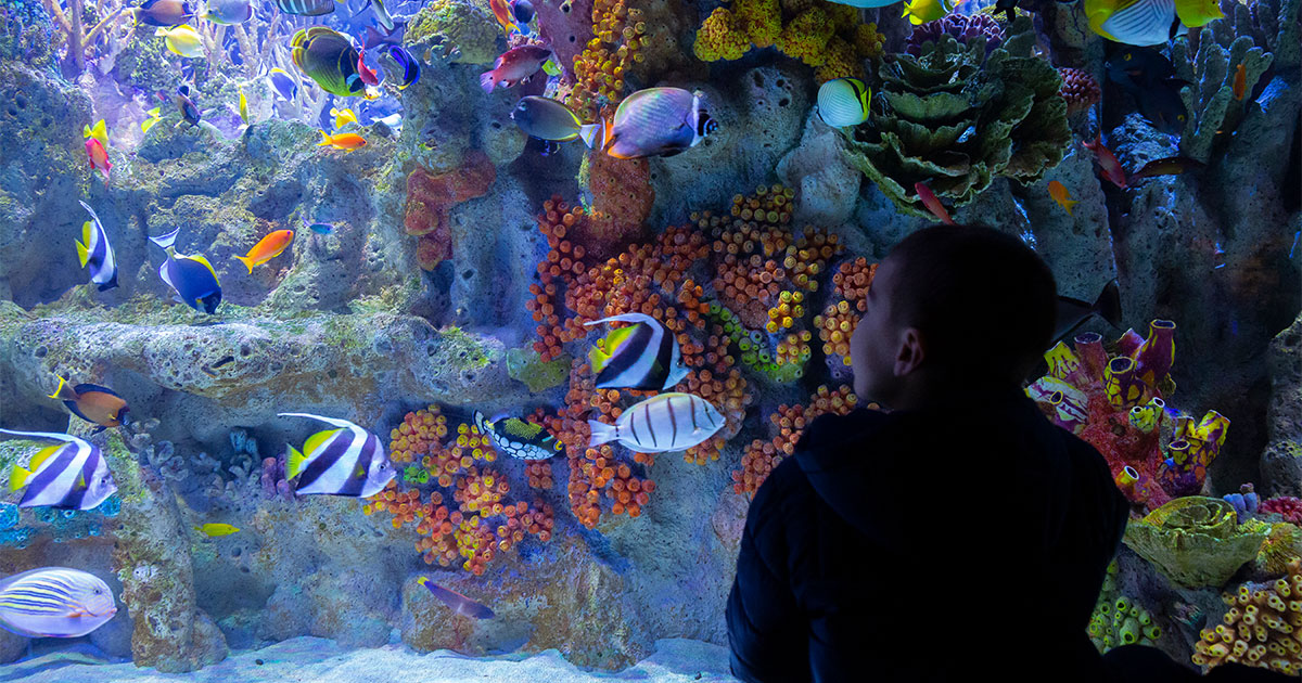 Plan Your Visit - New England Aquarium