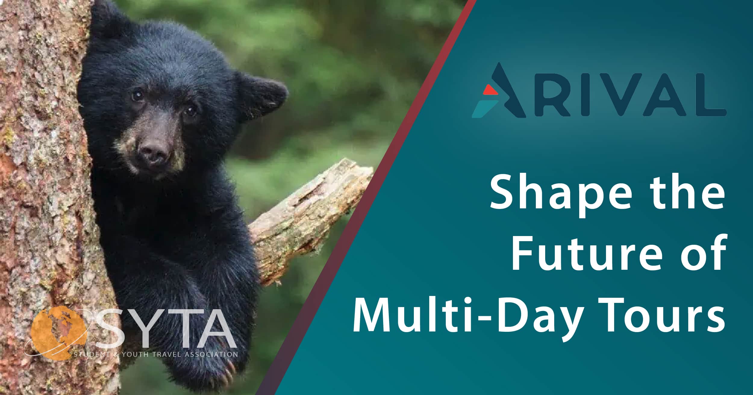 SYTD-ArivalMultiDayTours-03 Shape the Future of Multi-Day Tours
